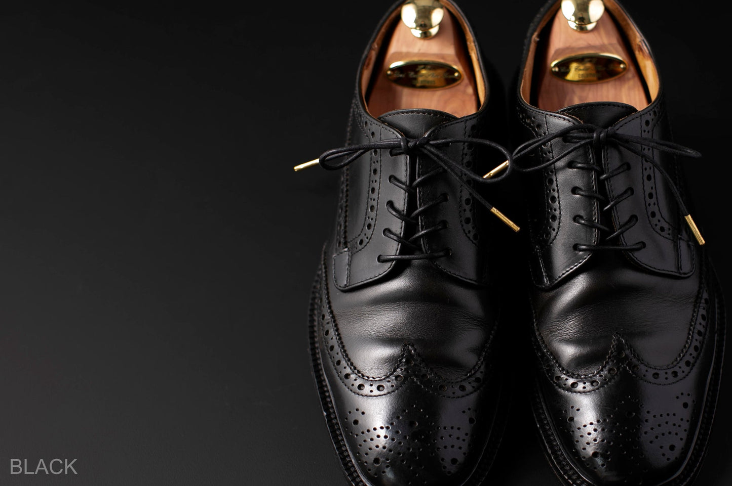 DRESS SHOELCE BLACK