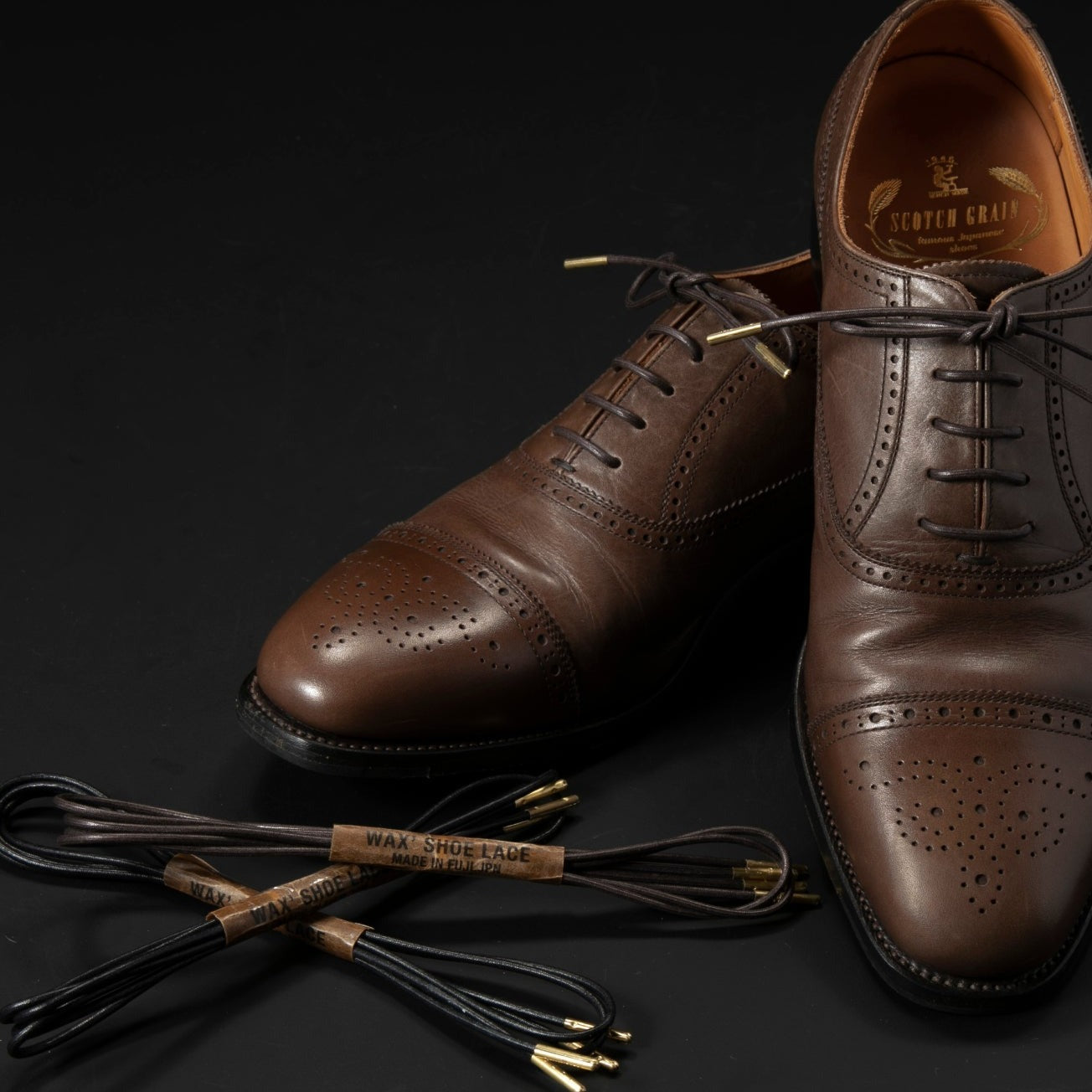 DRESS SHOELCE